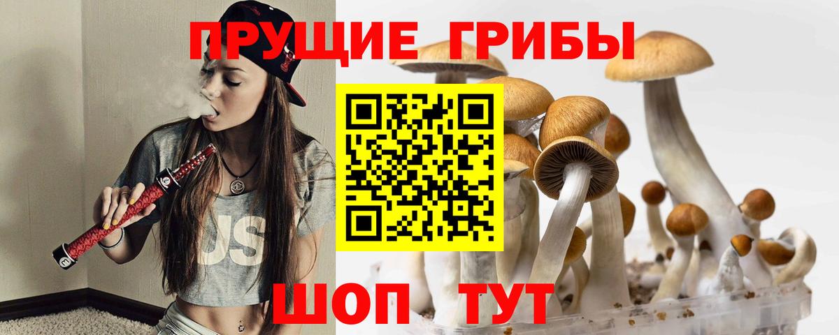 Псилоцибиновые грибы Psilocybe  Вход с VPN  Арсеньев 